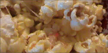 Havarti Herbs & Spice Cheese on Popcorn