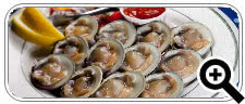Quahogs Seafood Shack - Stone Harbor, NJ