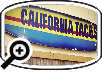 California Tacos to Go Restaurant