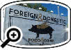 Foreign and Domestic Restaurant