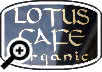 Lotus Cafe Organic Restaurant