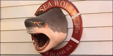 Sea Wolf Tybee