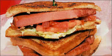 Fried Bologna Sandwich