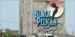 Black Pelican in Kitty Hawk