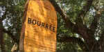 Bourree at Boucherie in New Orleans